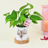 Easy-to-care Money Plant with Personalize Vase Online