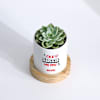 Buy Echeveria Succulent And Personalized Planter