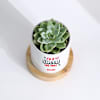 Shop Echeveria Succulent And Personalized Planter