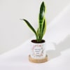 Eternal Evergreen - Snake Plant With Pot - Personalized Online