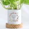 Buy Eternity Bloom - Money Plant With Pot - Personalized