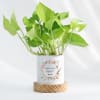 Eternity Bloom - Money Plant With Pot - Personalized Online