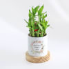 Gift Everlasting Love - 2-Layer Bamboo Plant With Pot - Personalized