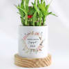 Buy Everlasting Love - 2-Layer Bamboo Plant With Pot - Personalized