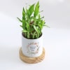 Shop Everlasting Love - 2-Layer Bamboo Plant With Pot - Personalized