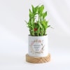 Everlasting Love - 2-Layer Bamboo Plant With Pot - Personalized Online