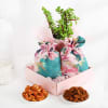 Floral Delight Hamper Online