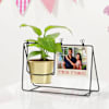 Forever Soulmates Personalized Money Plant Swing Planter