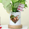 Gift Green Love Syngonium with a Personalized Vase