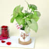 Buy Green Love Syngonium with a Personalized Vase