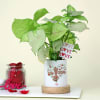 Green Love Syngonium with a Personalized Vase Online