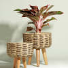 Handmade Twisted Jute Rope Planters (Set of 2) - Without Plant Online