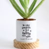 Gift Happily Ever After - Aloe Vera Plant With Pot - Personalized