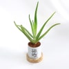 Buy Happily Ever After - Aloe Vera Plant With Pot - Personalized