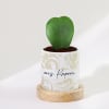 Hoya Heart Plant With Pot - Personalized Online