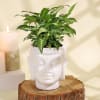 Gift Jade Plant in Ceramic Planter and Syngonium Plant in a Metal Planter