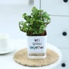 Buy Jade Plant With Self-Watering Planter