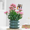 Gift Kind Like Kalanchoe