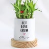 Buy Let Love Grow - 2-Layer Bamboo Plant With Pot - Personalized