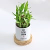 Shop Let Love Grow - 2-Layer Bamboo Plant With Pot - Personalized