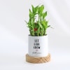 Let Love Grow - 2-Layer Bamboo Plant With Pot - Personalized Online