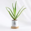 Shop Let Love Grow - Aloe Vera Plant With Pot - Personalized