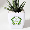 Buy Let Love Grow Haworthia Plant With Planter