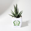 Let Love Grow Haworthia Plant With Planter Online