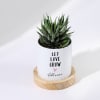 Buy Let Love Grow - Haworthia Succulent With Pot - Personalized