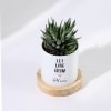 Shop Let Love Grow - Haworthia Succulent With Pot - Personalized