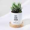 Let Love Grow - Haworthia Succulent With Pot - Personalized Online