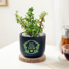 Gift Let Love Grow Jade Plant With Planter