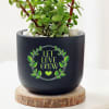 Buy Let Love Grow Jade Plant With Planter