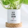 Buy Let Love Grow - Money Plant - Personalized