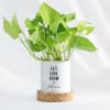 Let Love Grow - Money Plant - Personalized Online