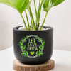 Buy Let Love Grow Money Plant With Planter