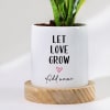 Buy Let Love Grow - Snake Plant With Pot - Personalized