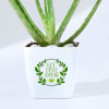 Shop Let's Grow Together Aloe Vera Plant With Planter