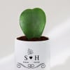 Gift Love Bloom - Hoya Heart Plant With Pot - Personalized