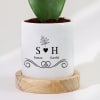 Buy Love Bloom - Hoya Heart Plant With Pot - Personalized