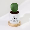 Shop Love Bloom - Hoya Heart Plant With Pot - Personalized