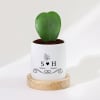 Love Bloom - Hoya Heart Plant With Pot - Personalized Online