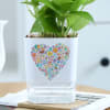 Gift Love In Bloom - Money Plant With Self Watering Planter