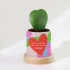 Love Is All Around - Heart Hoya Plant With Personalized Planter Online