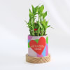 Love Is All Around - Two-Layered Bamboo Plant With Personalized Planter Online