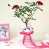 Love-struck Rose plant with platter vase Online