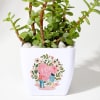 Gift Love You - Jade Plant With Planter