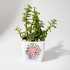 Buy Love You - Jade Plant With Planter