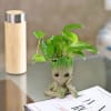 Gift Money Plant in a Baby Groot Planter