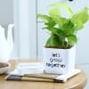 Gift Money Plant With Self-Watering Planter